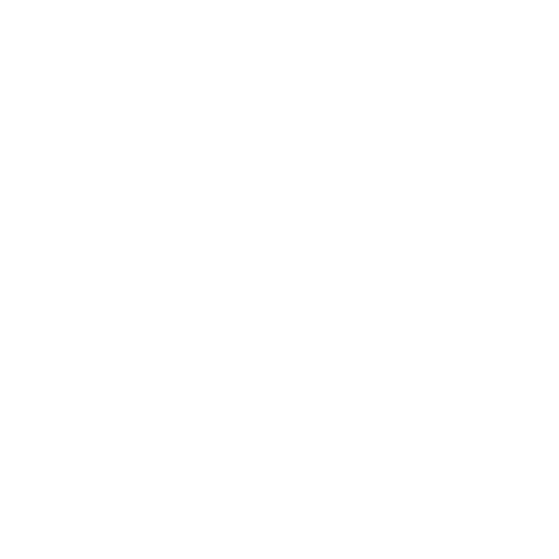 No Property Tax